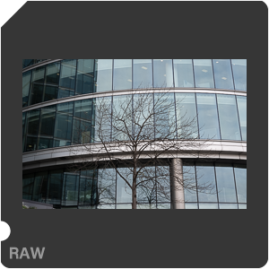 RAW sample