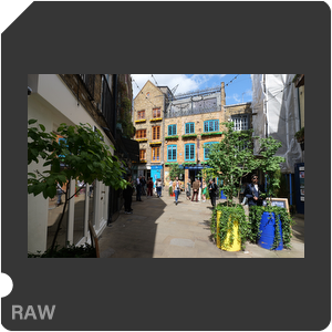 RAW sample