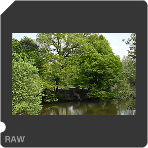 RAW sample