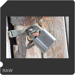 RAW sample