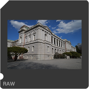 RAW sample