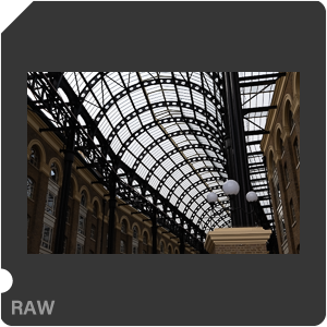 RAW sample