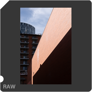 RAW sample