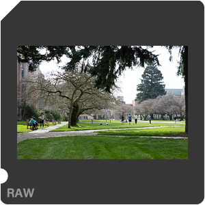 RAW sample