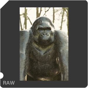 RAW sample