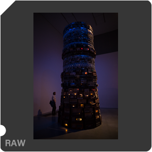 RAW sample