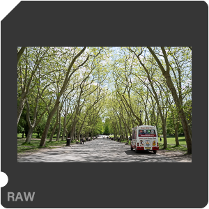 RAW sample