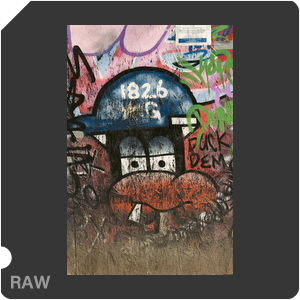 RAW sample