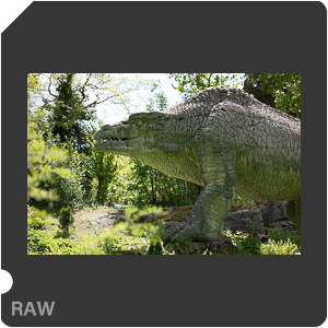 RAW sample