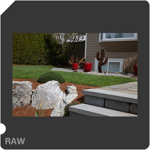 RAW sample