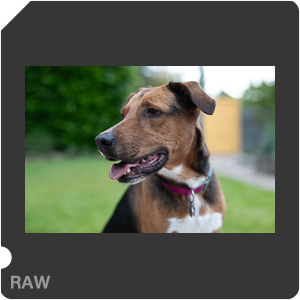 RAW sample