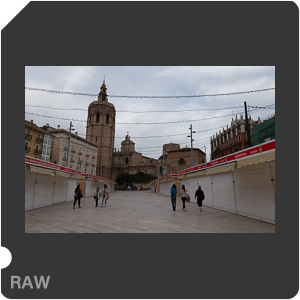 RAW sample
