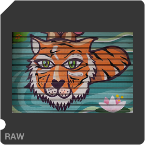 RAW sample
