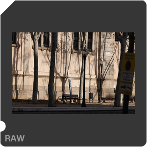 RAW sample