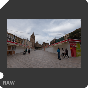 RAW sample