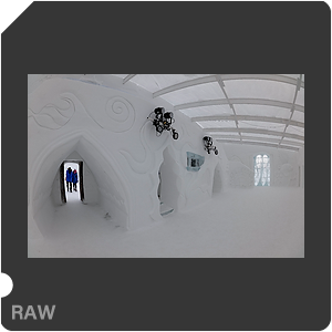 RAW sample
