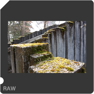 RAW sample