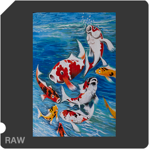 RAW sample