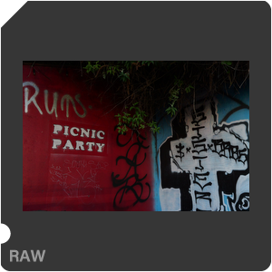 RAW sample