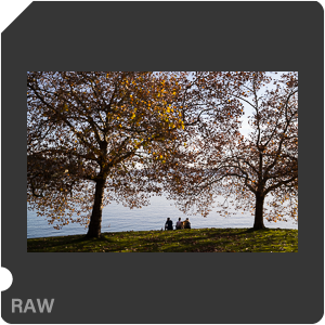RAW sample