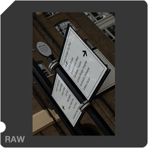 RAW sample