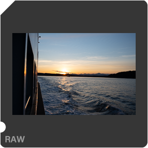 RAW sample