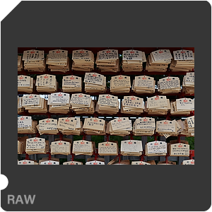 RAW sample