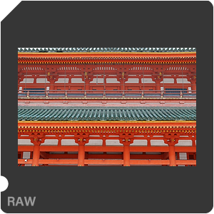 RAW sample