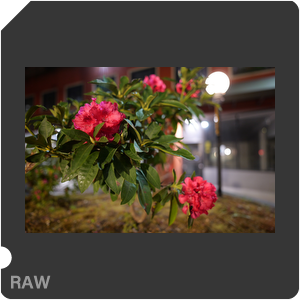 RAW sample