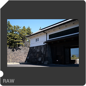 RAW sample