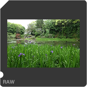RAW sample