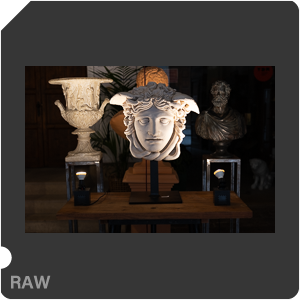 RAW sample