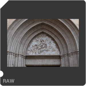 RAW sample
