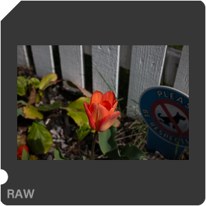 RAW sample
