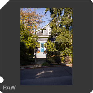 RAW sample
