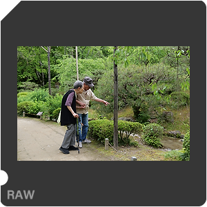 RAW sample