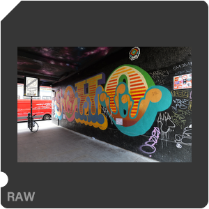 RAW sample