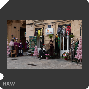 RAW sample