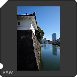 RAW sample