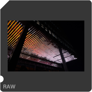 RAW sample
