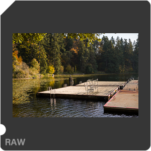 RAW sample