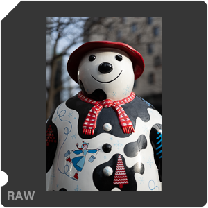 RAW sample