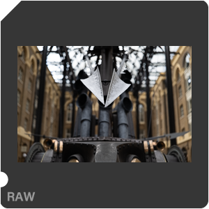 RAW sample