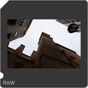 RAW sample