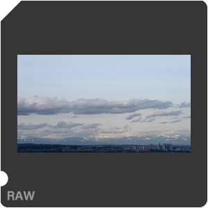 RAW sample