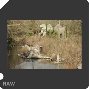 RAW sample