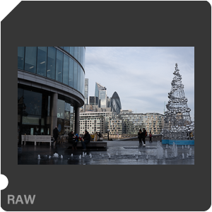 RAW sample