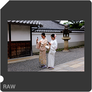 RAW sample
