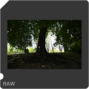 RAW sample