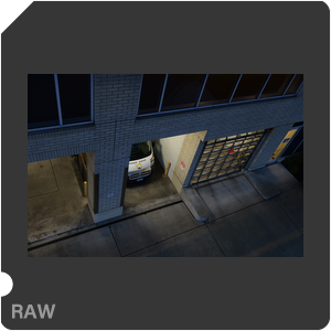 RAW sample